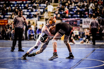 20190214-DSC_7356