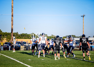 20240906-DSC_0202
