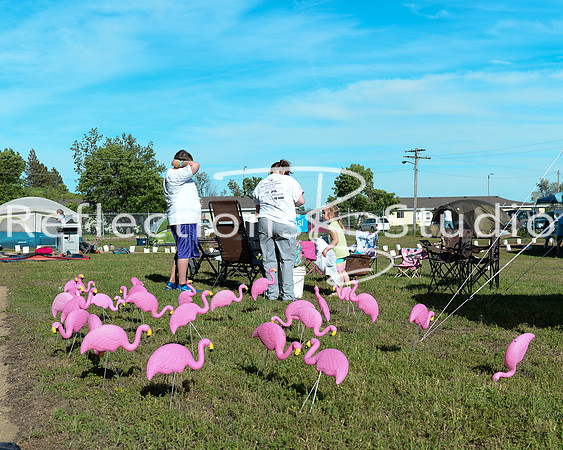 20140620-DSC_3399