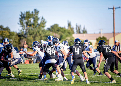 20240906-DSC_0175