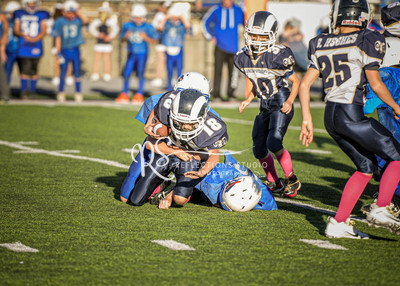20201101-DSC_1342