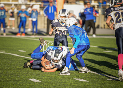 20201101-DSC_1343