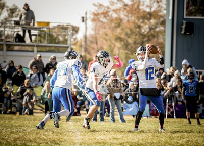 20221015-DSC_0306