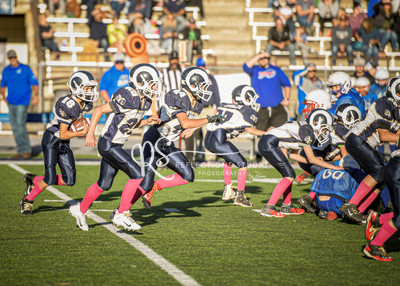 20201101-DSC_1337