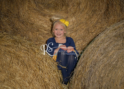 20201106-DSC_3934