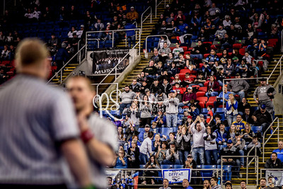 20190215-DSC_8110