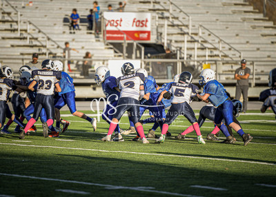 20201101-DSC_1324