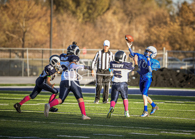 20201101-DSC_1301
