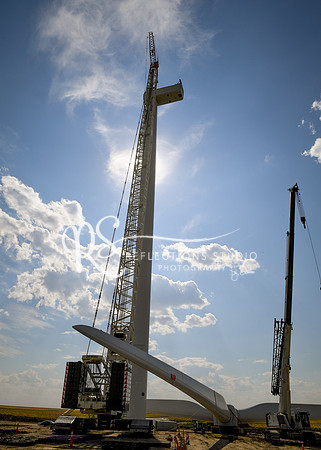 20180807-DSC_6811