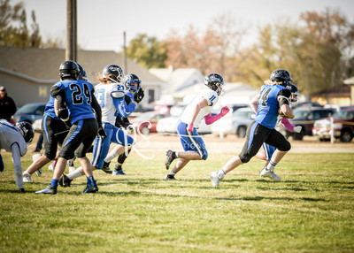 20221015-DSC_0699