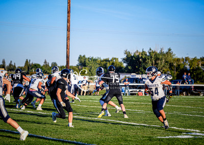 20240906-DSC_0209
