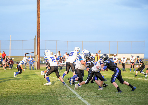 20190823-DSC_3529