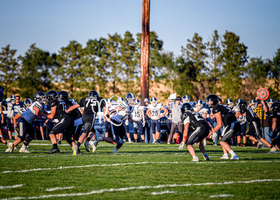 20240906-DSC_0250