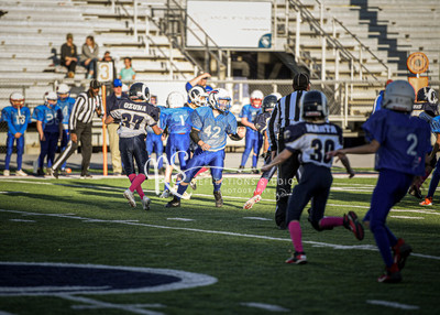 20201101-DSC_1328