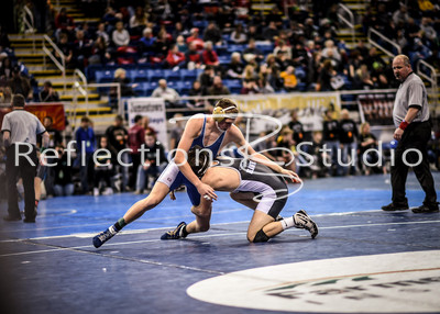 20180215-DSC_3116