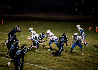 20201016-DSC_8433