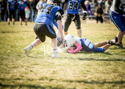 20221015-DSC_0509