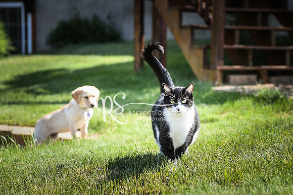 20180601-DSC_4217