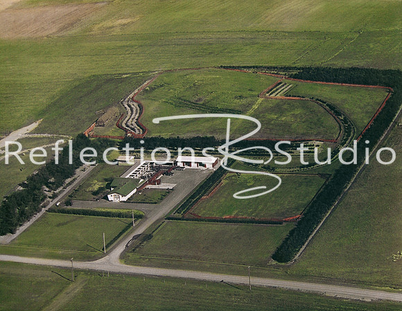reflections 001B4D3-002