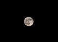 20181123-DSC_4507