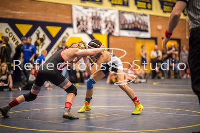 20150116-DSC_5597