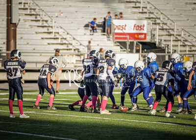 20201101-DSC_1319