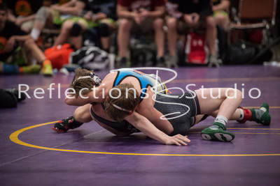 20150404-DSC_4919