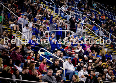 20160218-_DSC5857