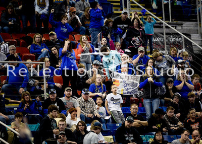20160219-_DSC6078