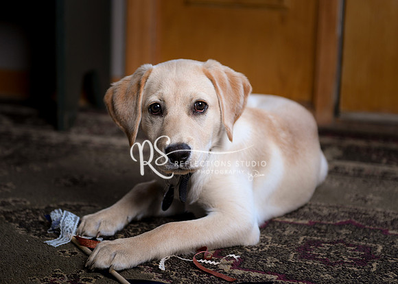 20180625-DSC_6859