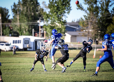 20170905-DSC_2687