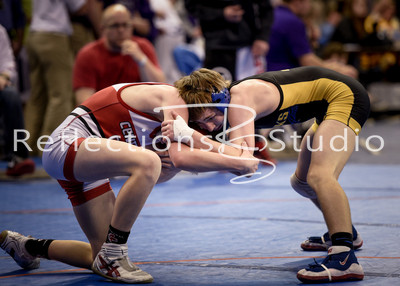 20160219-_DSC6981