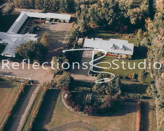 reflections 001B4D3-003