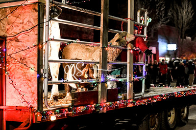 20181123-DSC_4754