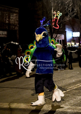 20181123-DSC_4676