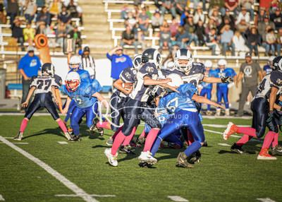 20201101-DSC_1339